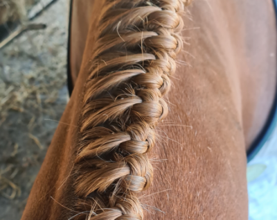 How to plait the thick mane